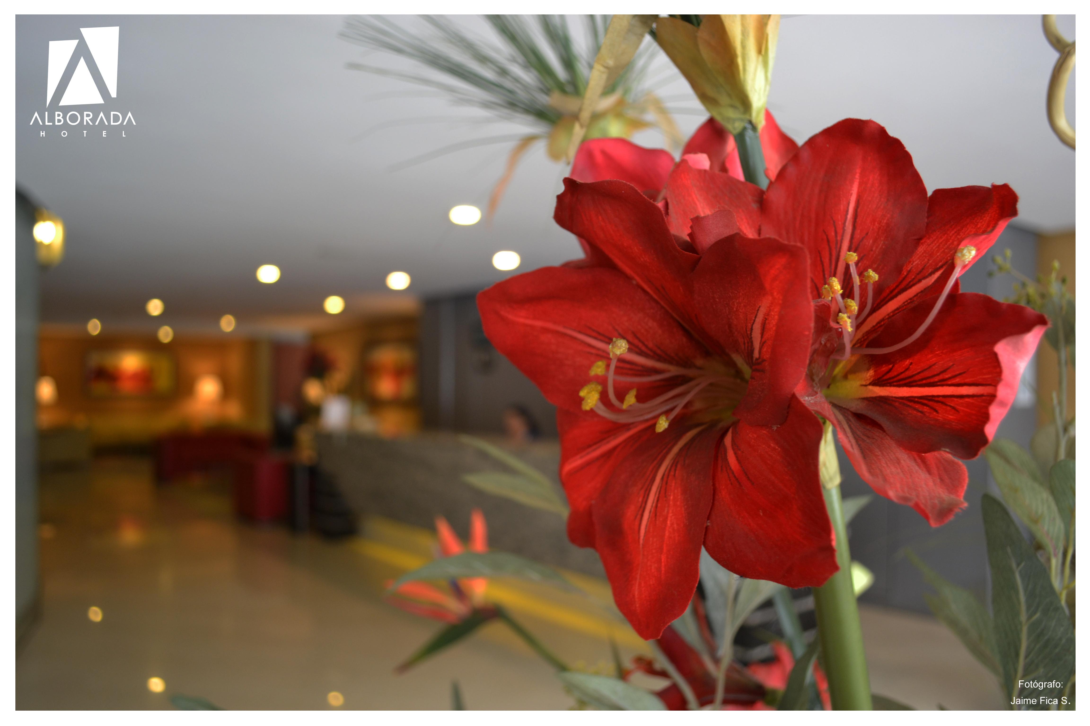 Concepción Hotel Alborada מראה חיצוני תמונה